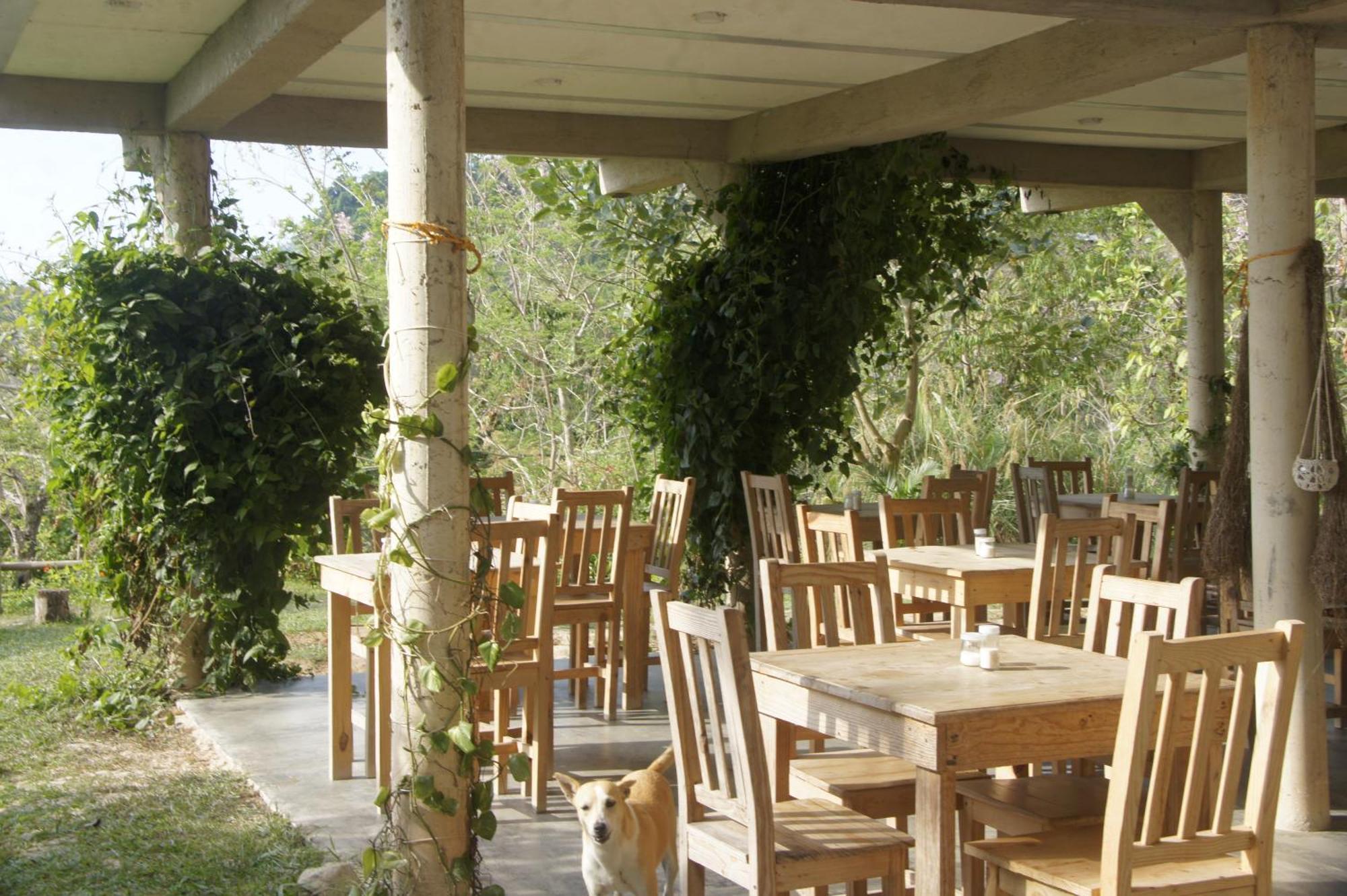 Hostal Vista Verde ミンカ エクステリア 写真